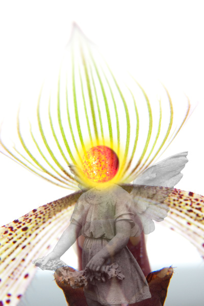 composite digital photograph of stone angle with yellow and red orb orchid head