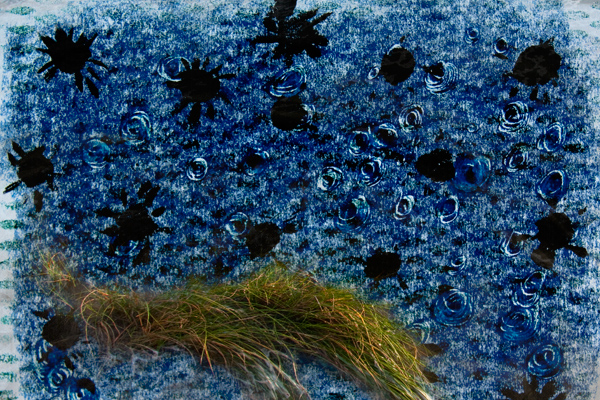 mixed media (monoprint and digital photograph) marsh grass and black stars